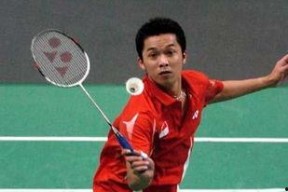 陶菲克个人资料,羽毛球传奇，赛场风云录