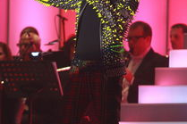 香港娱乐综艺张敬轩,香港乐坛璀璨星辰，综艺舞台魅力绽放