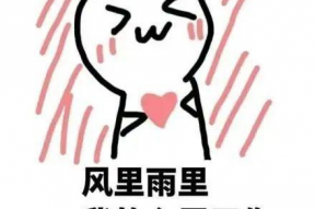 王鸥雄码表情包,趣味横生的网络文化新宠