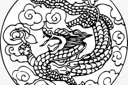 龙飞凤舞背景,探寻中华传统文化的瑰宝与魅力