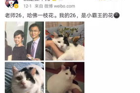 女网红出柜,揭开网络世界真实自我