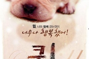 导盲犬小q拍摄花絮